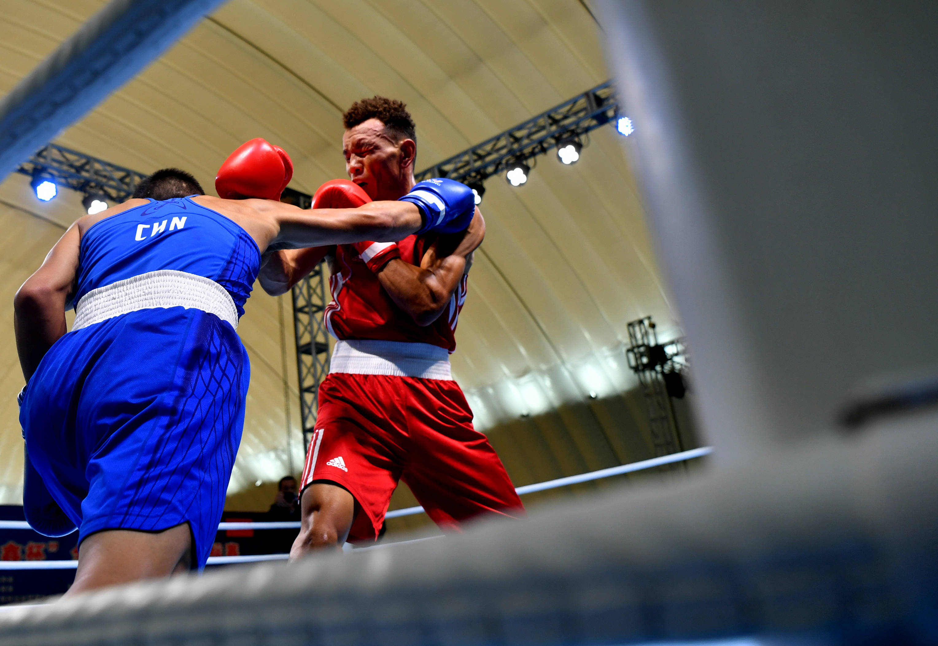 包含拳击赛事精彩瞬间盘点，年度回顾震撼登场的词条