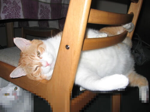 绞索上的绿茵,波尔的致命华尔兹与英格兰的战术碾轧