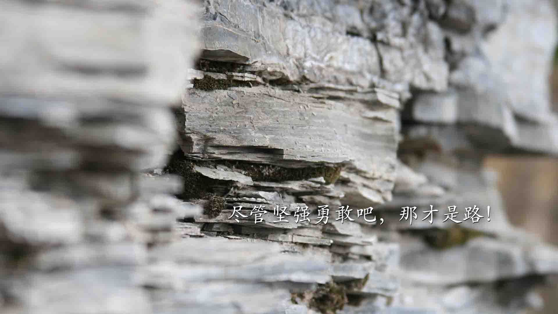 大西洋之风席卷红牛竞技场,萨内一笔画龙,葡萄牙完胜莱比锡