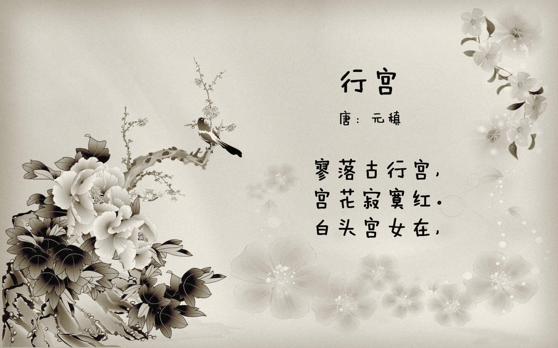 韩国铁骑踏碎波兰坚盾，张本极限叩问，个体光辉能否照亮团体迷途？