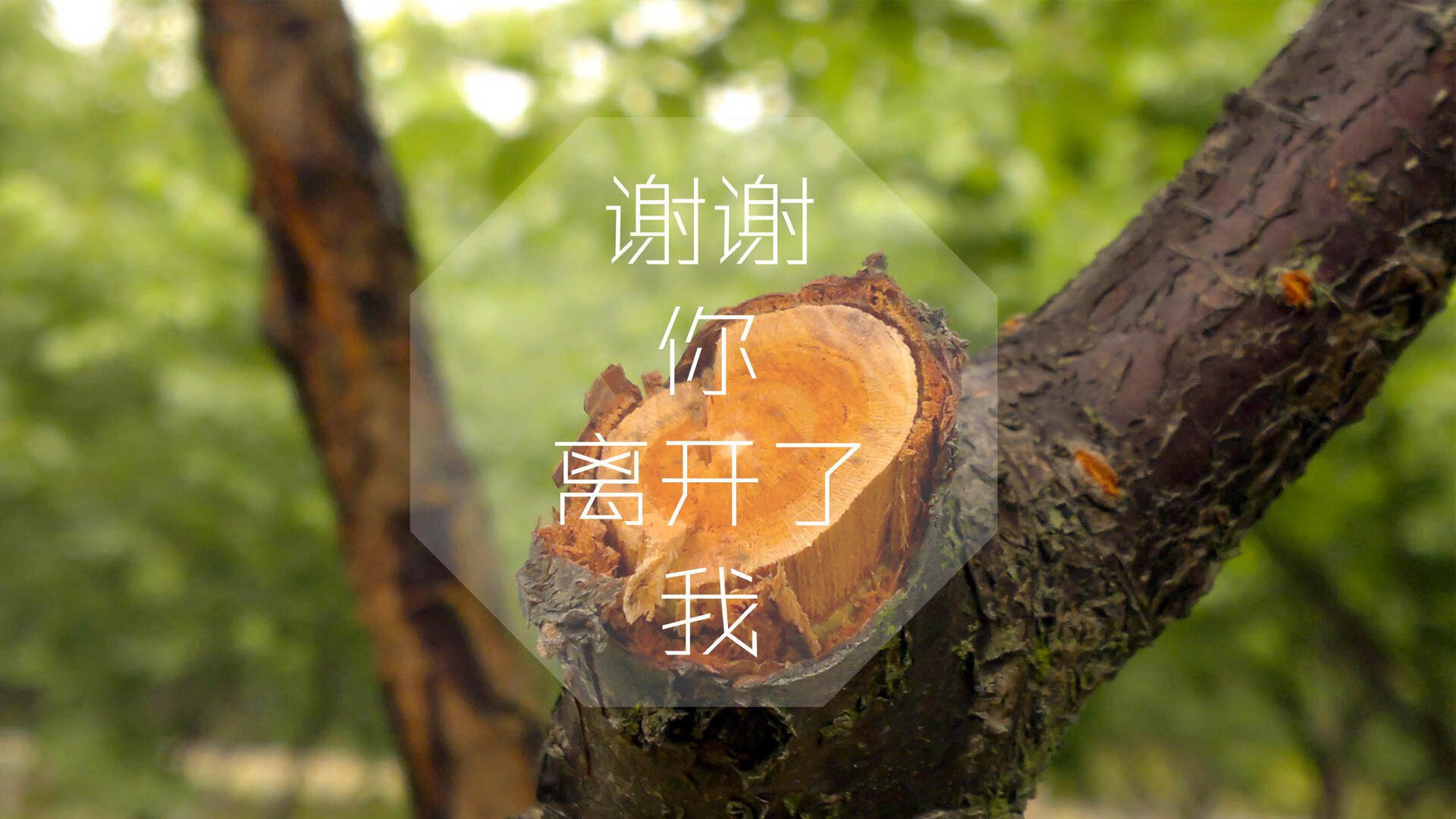 年度矛盾的统一体，当法网的耐心遇上总决赛的怒火