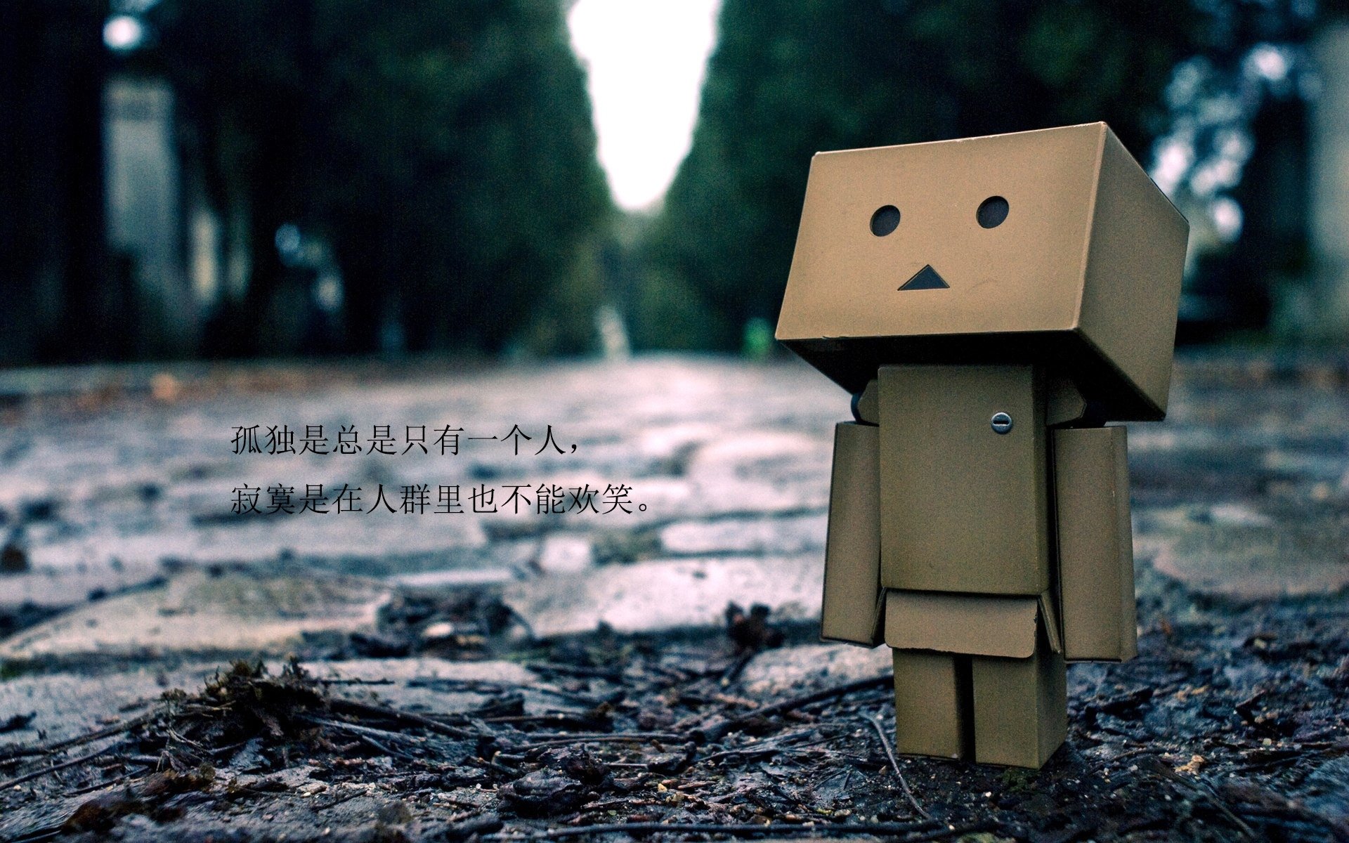 足球与篮球的遥远共鸣,昨夜,德比与轻取的平行叙事