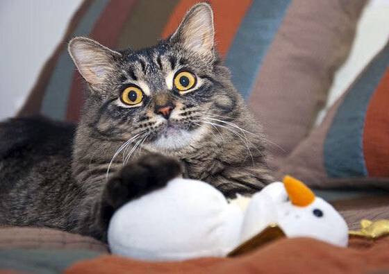 北欧风暴席卷赛场,挪威强行终结中国晋级之路