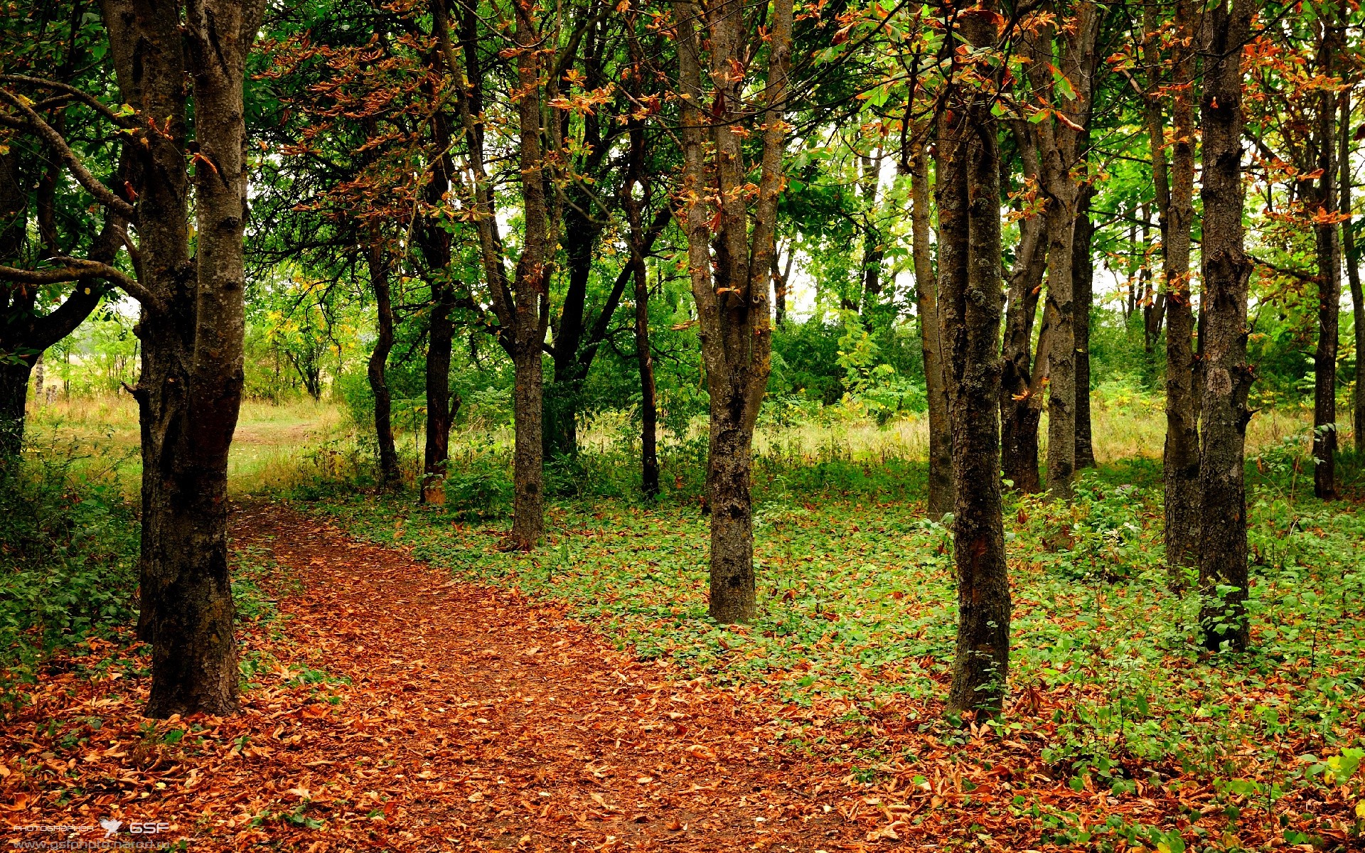 时间循环第137次,拉梅洛用唯一的方式击败了76人