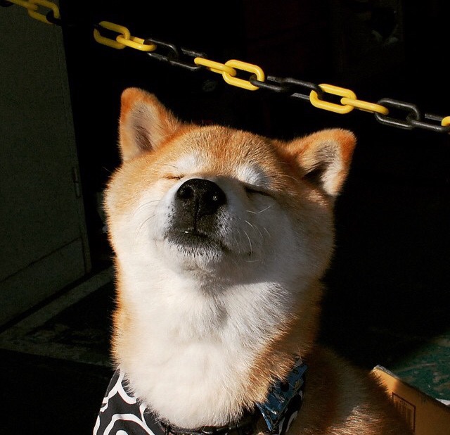 当足球遇见篮球，美加墨世界杯的马刺式战术压制