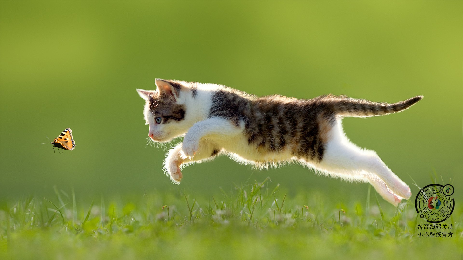 灵魂淬火，在属于英雄的战场，米切尔选择燃尽所有