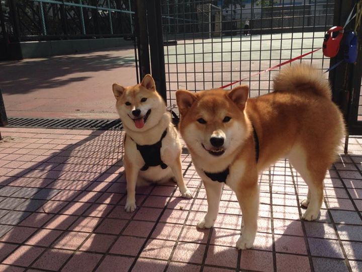 新王当立,末节鏖战—拉梅洛生涯之夜熄灭风城