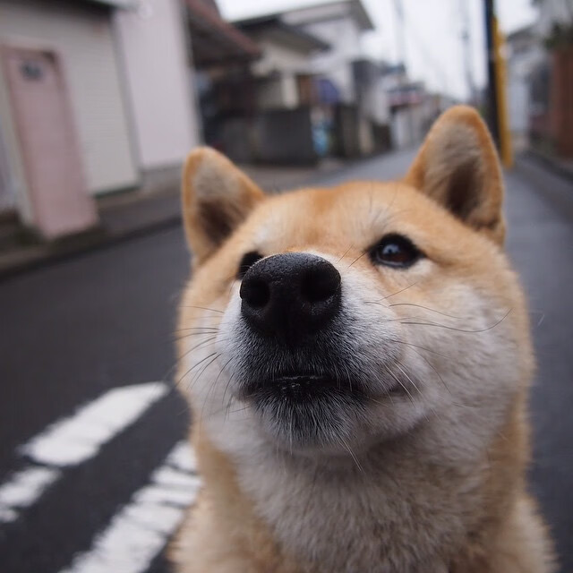 爱游戏下载-当勒布朗跨越时空连线金州，一场虚构的终极审判