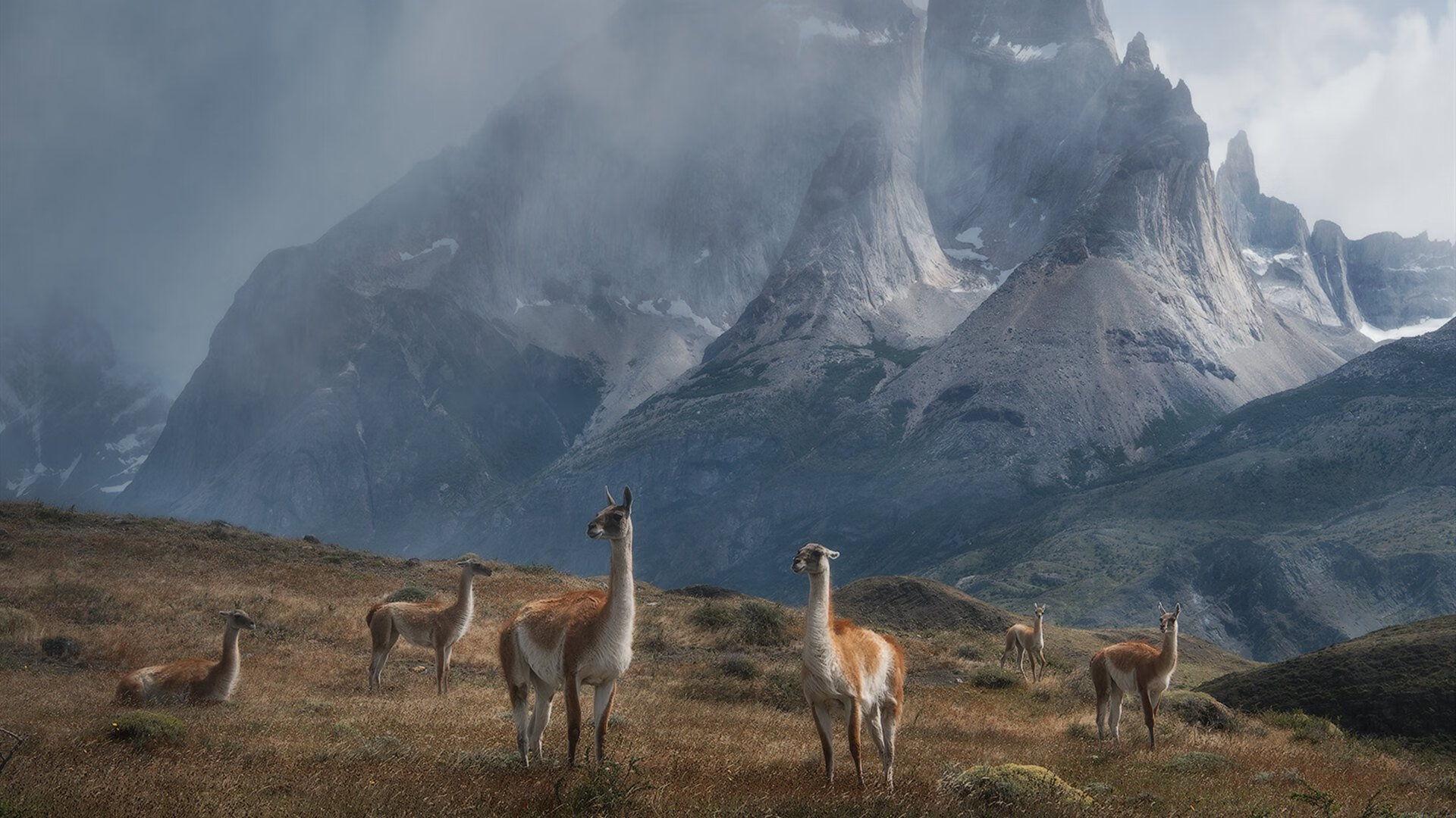 爱游戏-夜幕下的王座，哈利伯顿的传奇起点