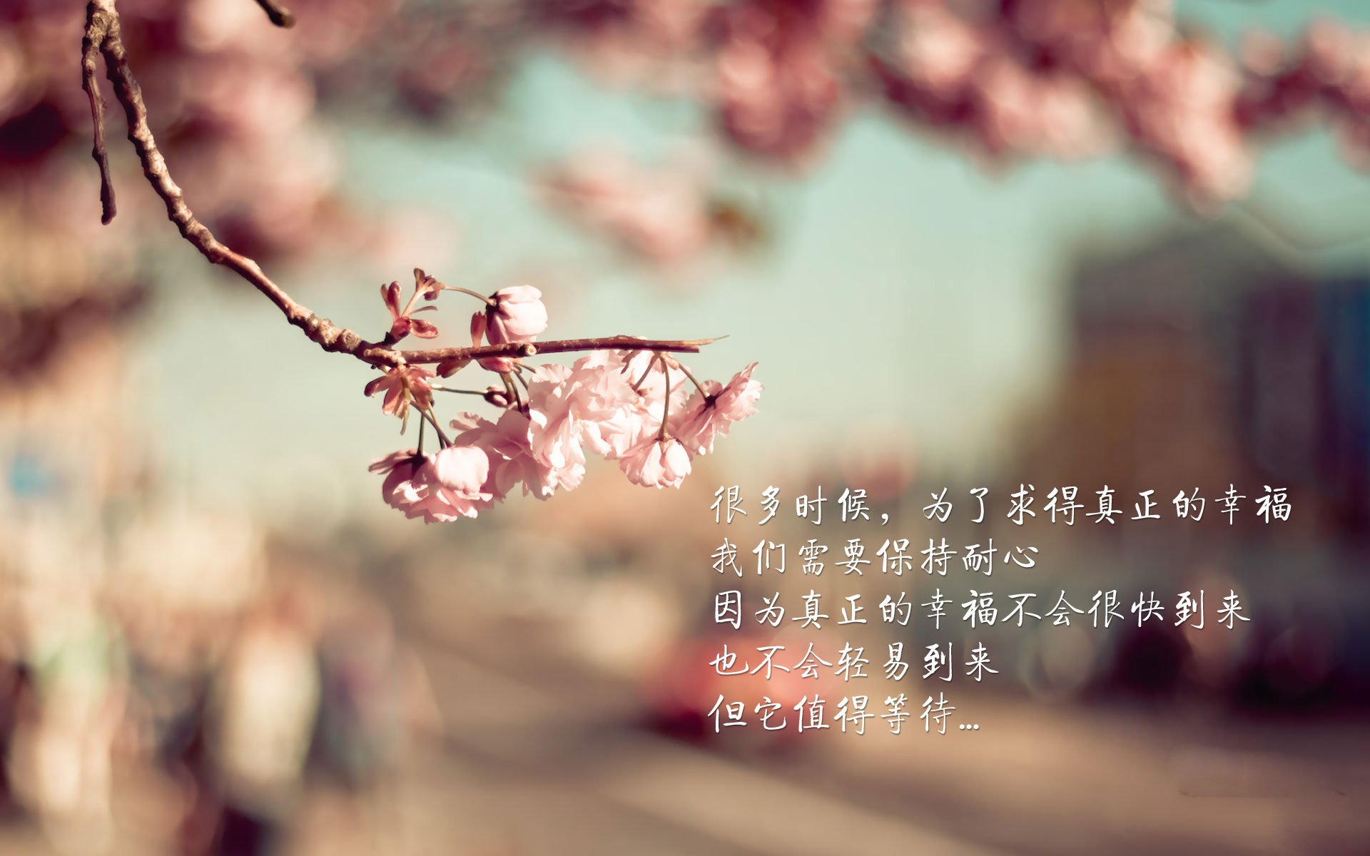 奥斯梅恩导演单边碾压,波兰钢铁防线崩塌之夜,保加利亚见证唯一的2026世界杯强强对话