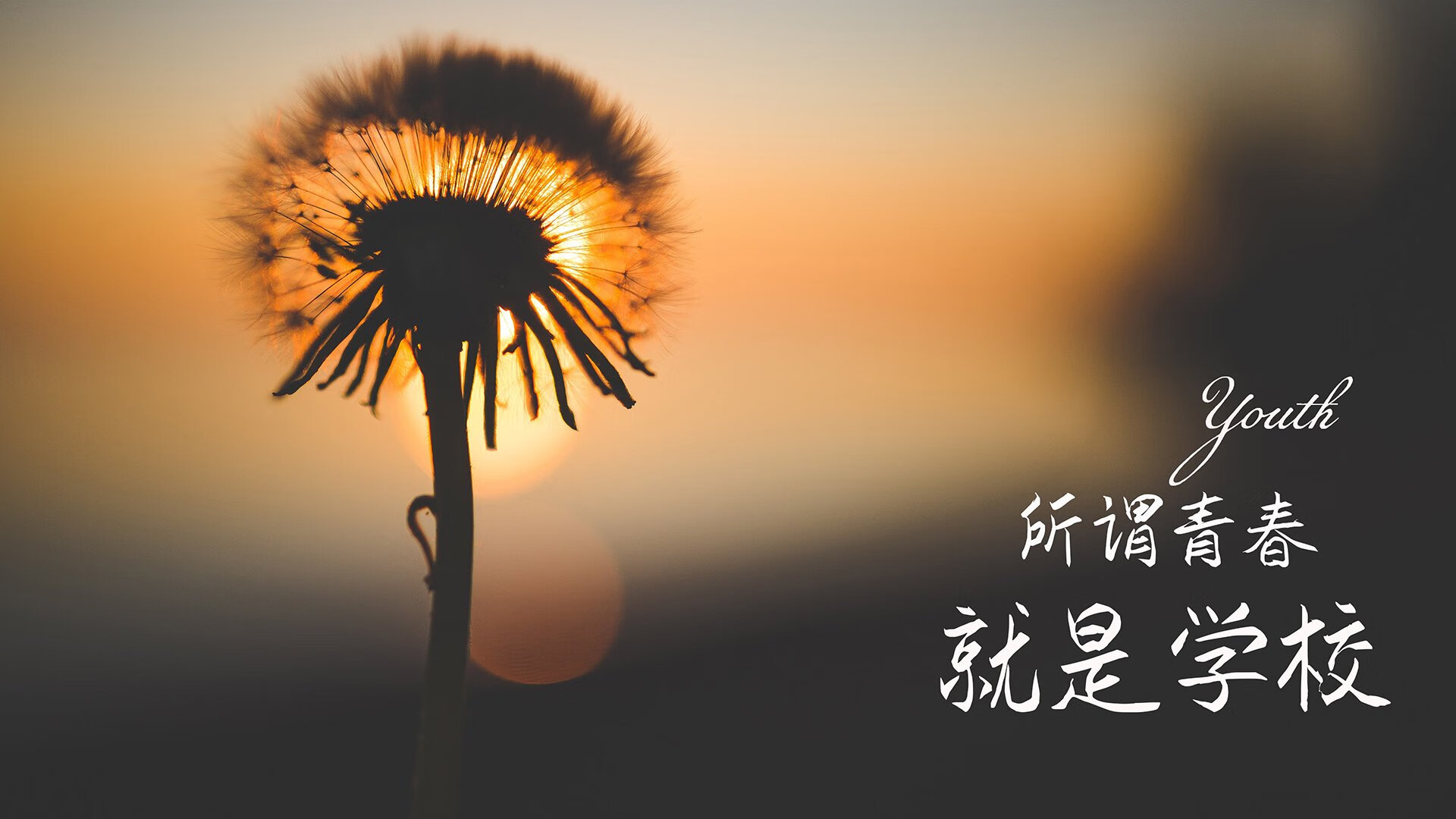 绝境之光，费利克斯一剑封喉，厄瓜多尔爆冷险胜葡萄牙—2026世界杯D组焦点战颠覆足球秩序