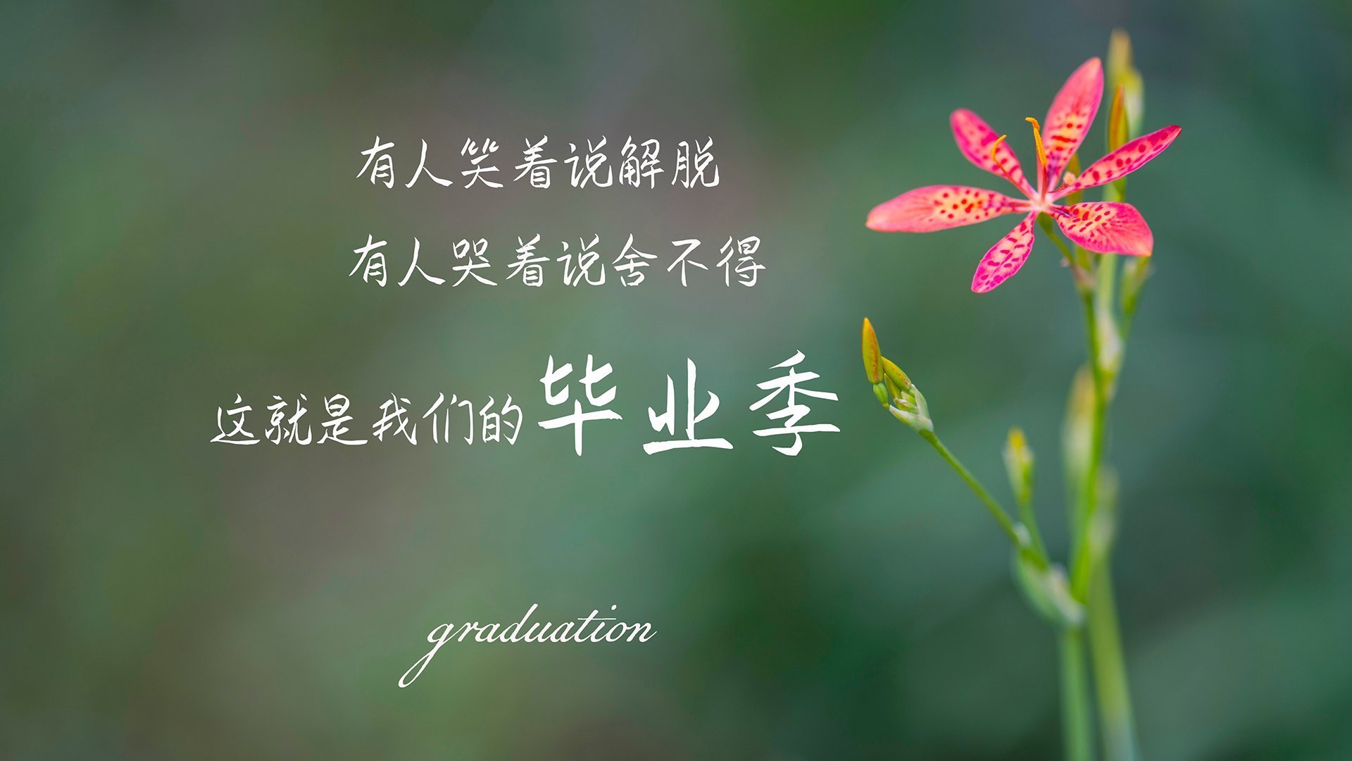 宿命对决，2026世界杯复仇之战，阿诺德引领丹麦险胜英格兰，状态火热再写传奇
