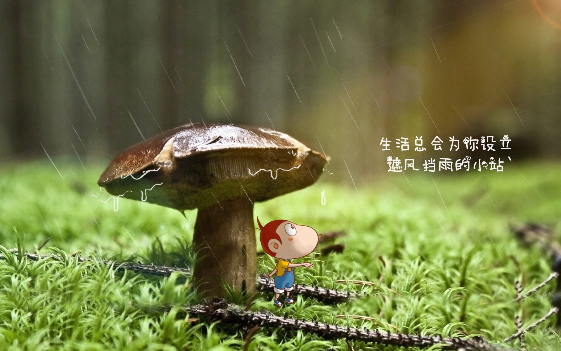 沙漠风暴席卷布拉迪斯拉发,伊朗横扫斯洛伐克,托纳利化身波斯指挥官演绎2026世界杯H组最震撼一战